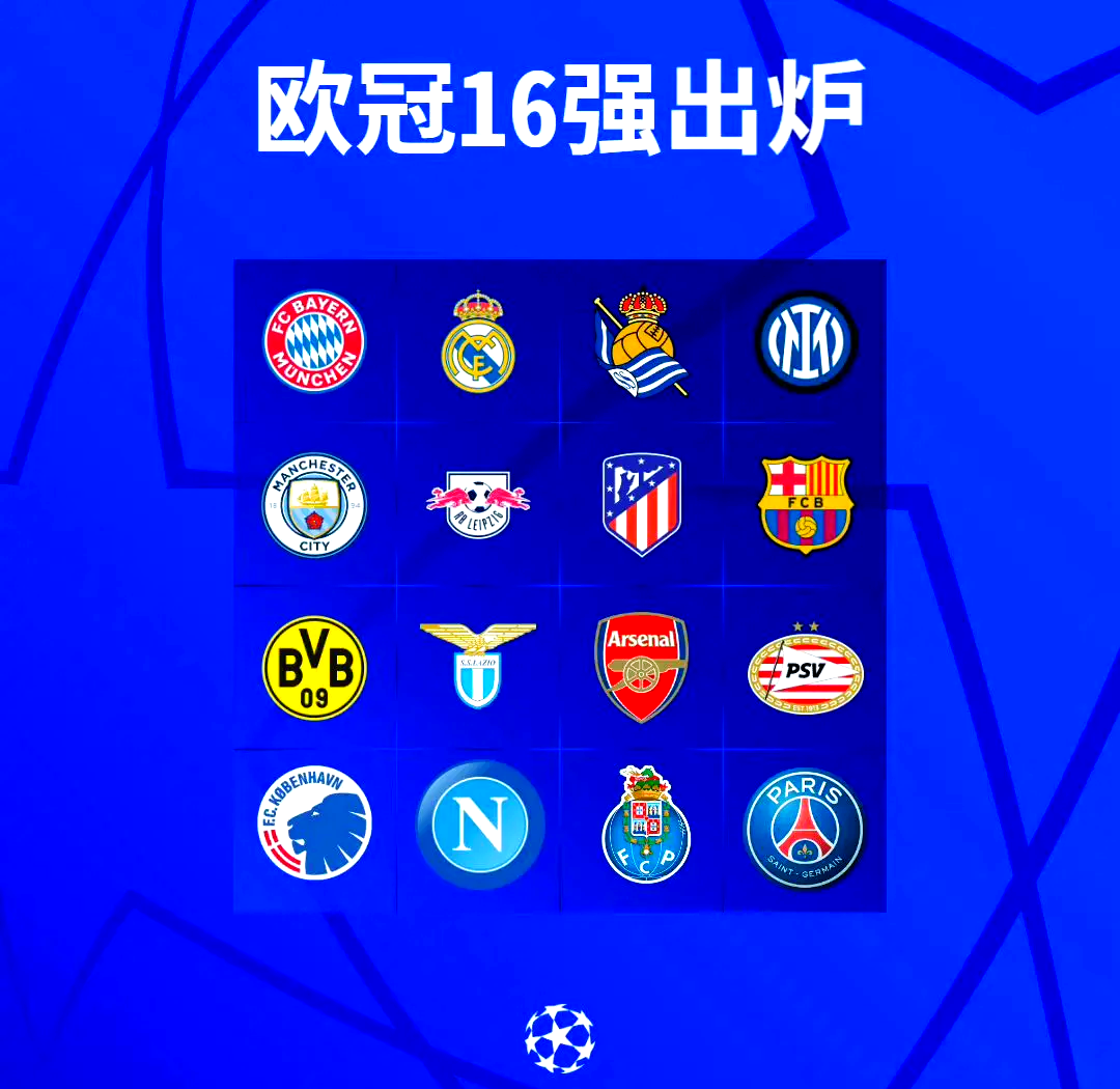 ayx-法兰克福训练开放日，国际比赛日强势反弹引欢呼，欧篮联在即，细节决定成败的简单介绍